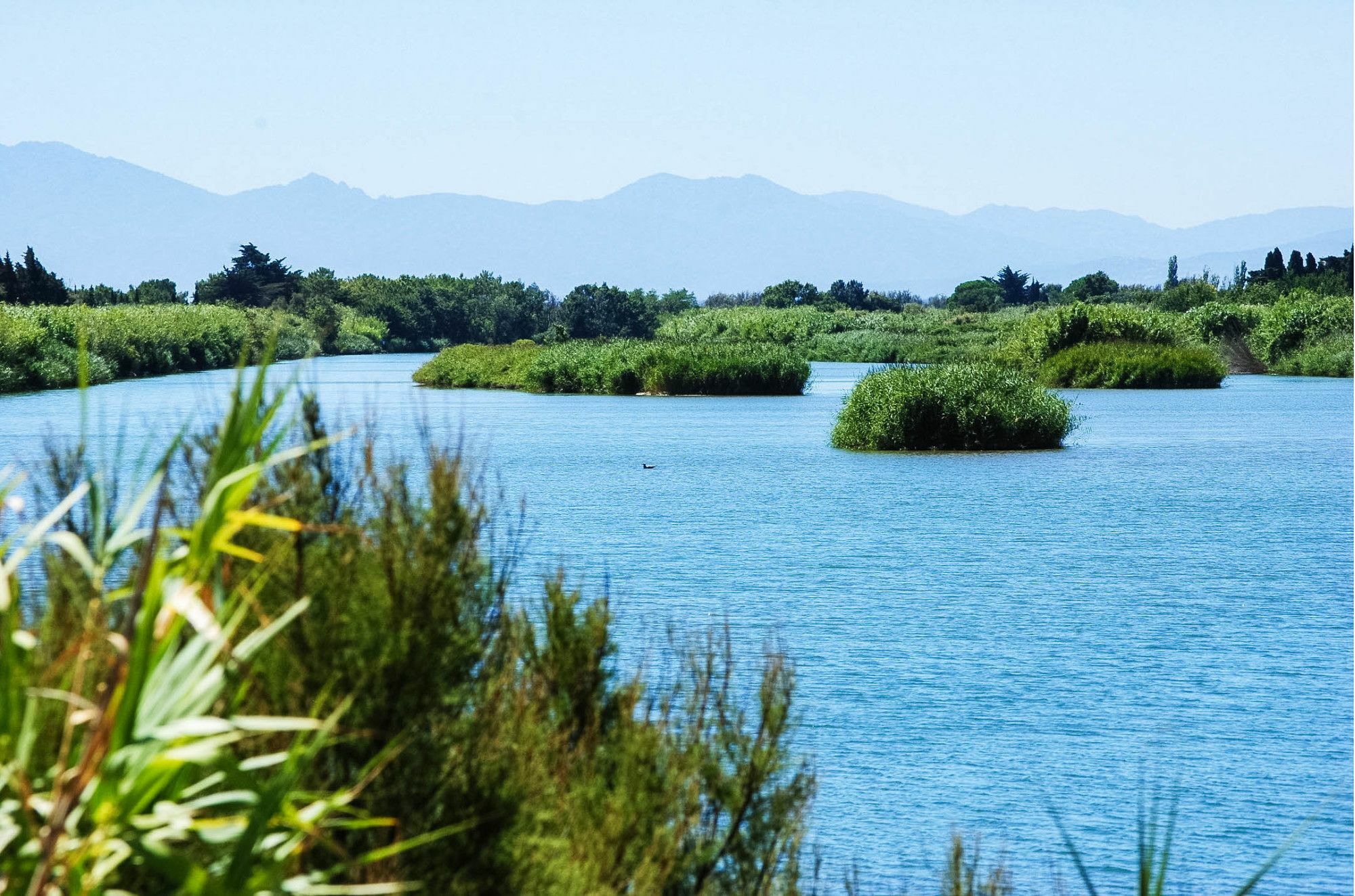 Ibis Styles Perpignan Canet En Roussillon Zewnętrze zdjęcie